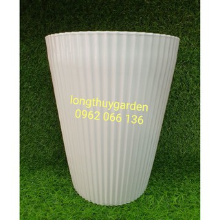 Chậu tròn cao gân sọc24cm và 21.5cm