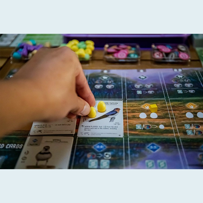 Stonemaier Games Wingspan Oceania Expansion, Orange