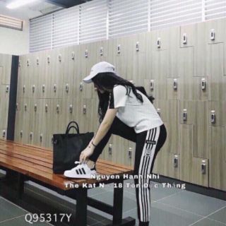 Sét bộ da cá thể thao