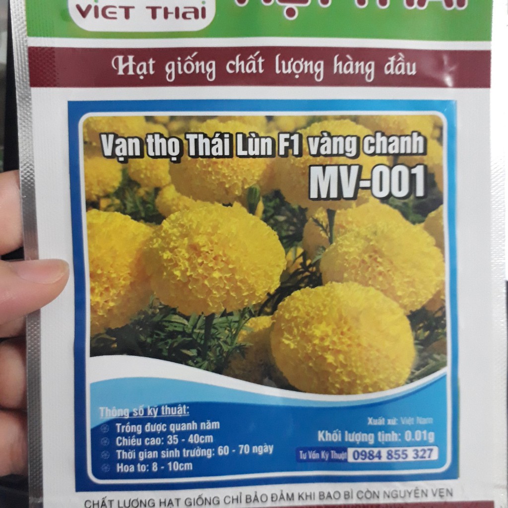 Hạt giống Hoa Vạn Thọ Thái lùn_màu vàng chanh