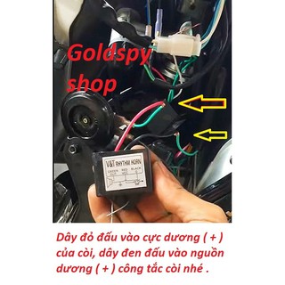 Chíp nhại còi xe máy