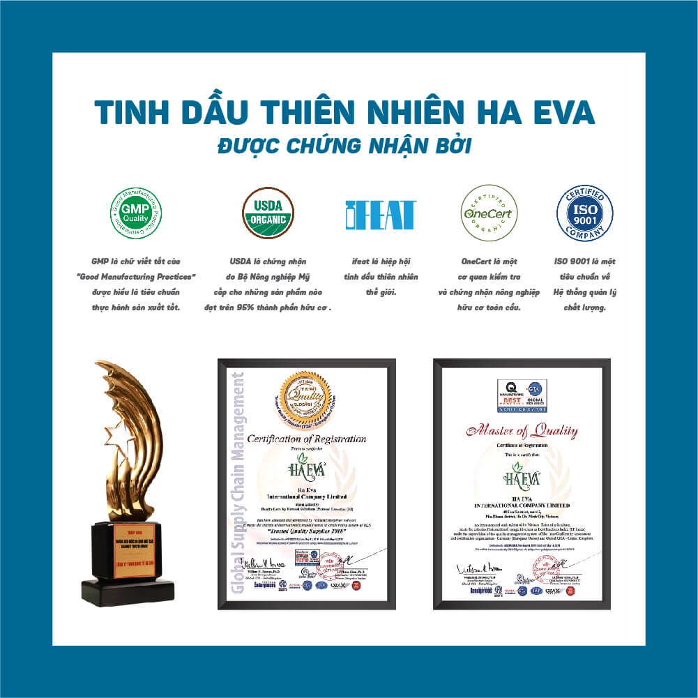 Tinh dầu xông Hương Biển Haeva Cao Cấp, 100% Thiên Nhiên, giảm căng thẳng, âu lo, giúp ngủ ngon,Chai 10ml/30m/100ml