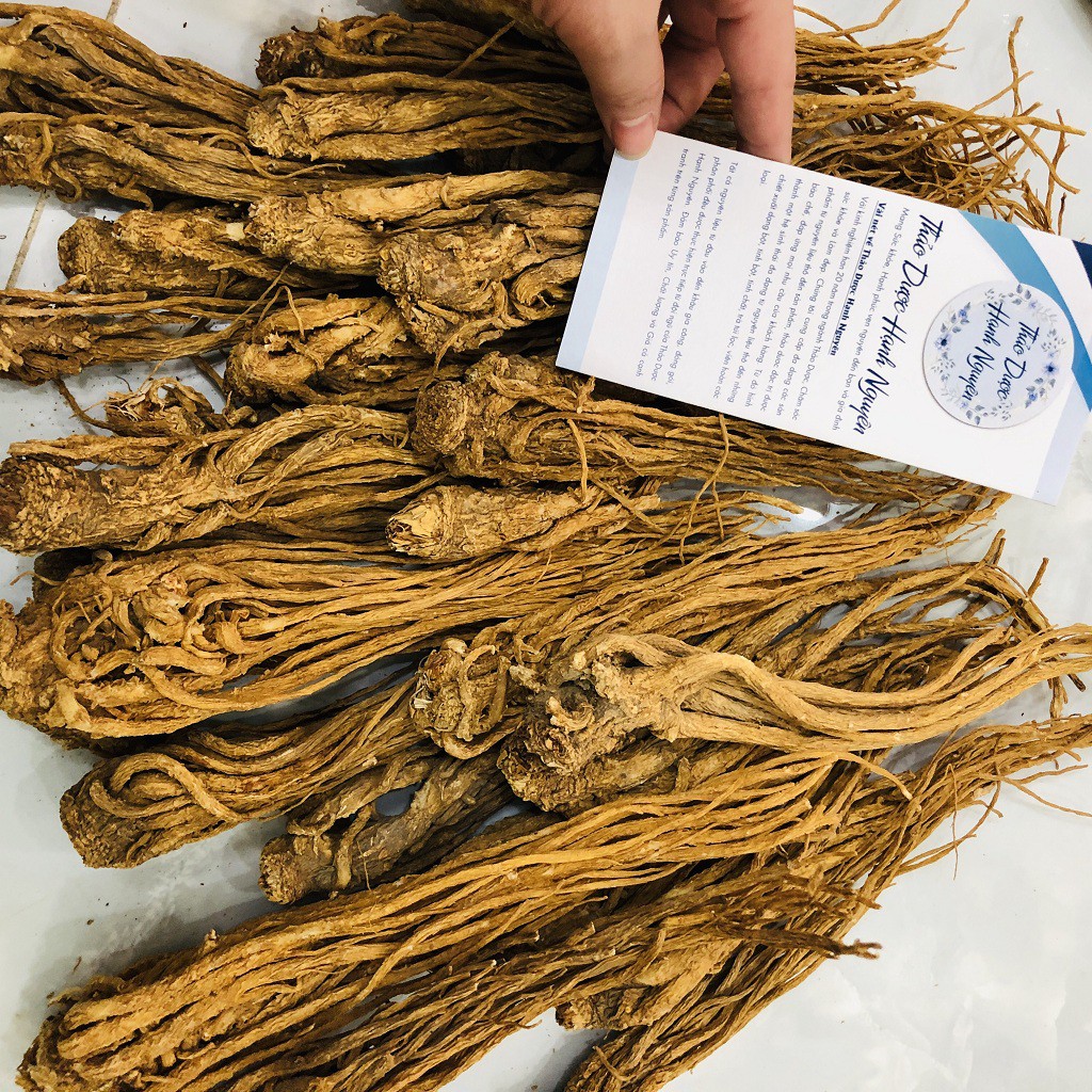 Sâm đương quy, đương quy củ 100g - Thảo Dược Hạnh Nguyên