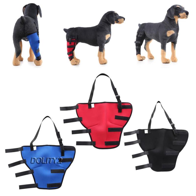 Đai Đeo Trái / Phải Bảo Vệ Chân Cho Chó Dolity2 S