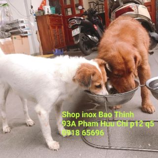 Bát ăn đôi inox cao 25cm dành cho chó