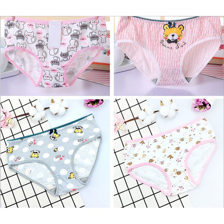 Combo 3 quần lót nữ cotton kẻ sọc cao cấp nhiều hình dễ thương QL6 | WebRaoVat - webraovat.net.vn