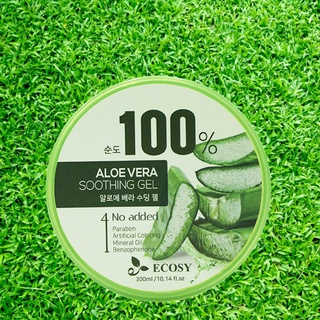 Gel dưỡng da Ecosy chiết xuất nha đam 300ml