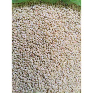 HẠT Ý DỸ ( BO BO)