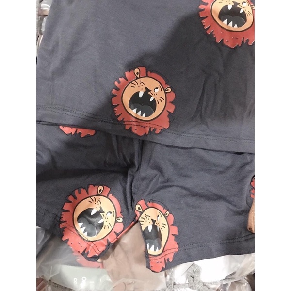 Set 2 bộ HM bé trai chất cotton 4c