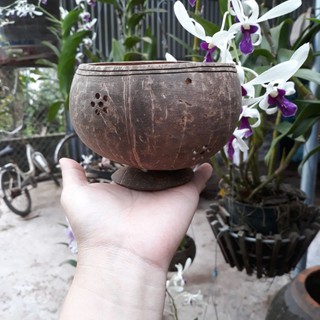 Chậu không hoa văn size nhỏ