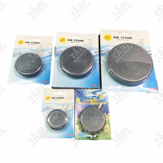 Sủi Dĩa Oxy Hồ Cá - Đá Sủi Dĩa Oxi Mịn Cho Bể Cá Thuỷ Sinh