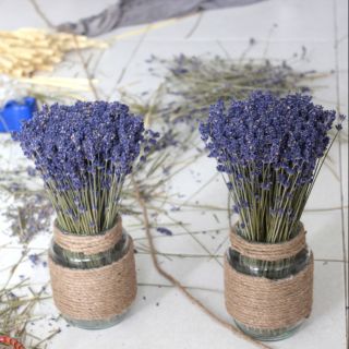Combo 2 lọ lavender khô vintage