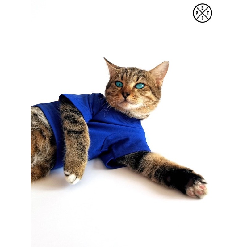 Áo thun da cá cao cấp S-PET Collection - Quần áo chó mèo / Thời trang chó mèo - Tạp Hoá Thú Cưng Happy