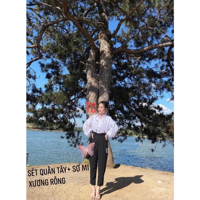 Áo sơmi xương rồng