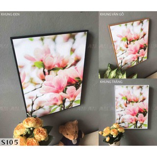 Tranh canvas 30x40cm - 80k