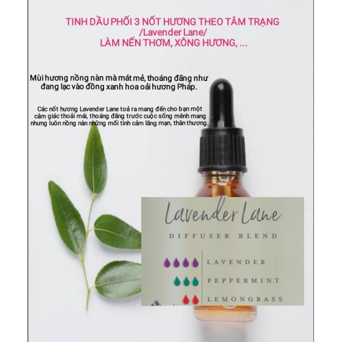 TINH DẦU PHỐI 3 NỐT HƯƠNG THEO TÂM TRẠNG /Lavender Lane/ LÀM NẾN THƠM, XÔNG HƯƠNG, ... - 9293store - 9293nguyenlieu