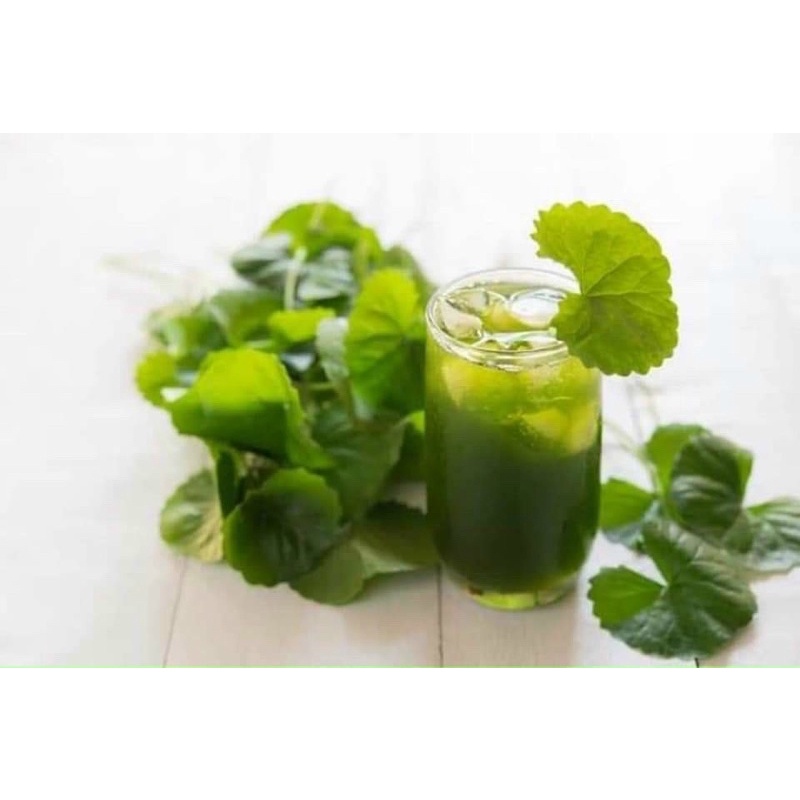 Bột rau má nguyên chất [Hộp 500g] Hàng cam kết chất lượng