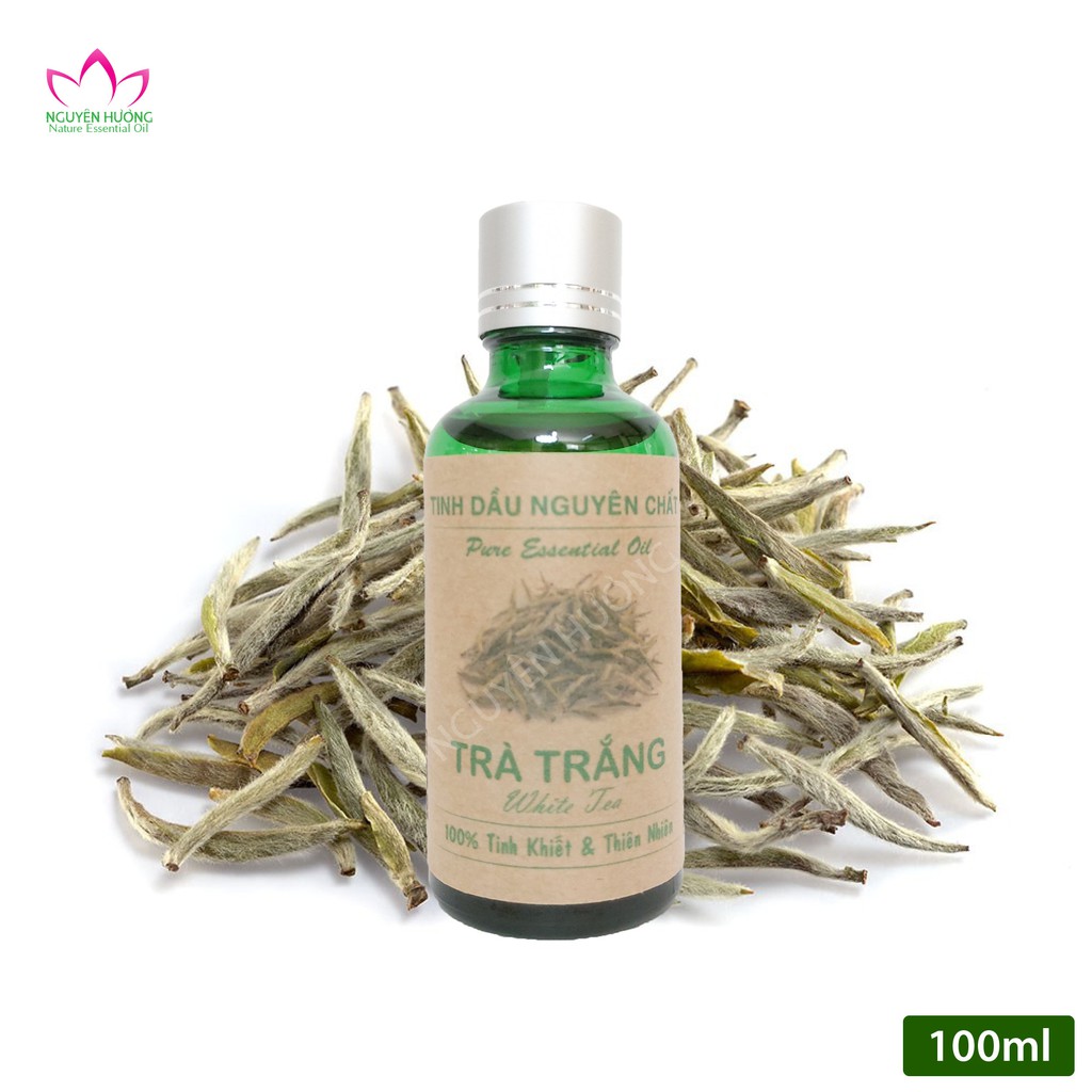 Tinh dầu Trà Trắng Nguyên Chất|Tinh dầu trà trắng cao cấp Nhập Khẩu Ấn Độ|Thương Hiệu Nguyên Hương