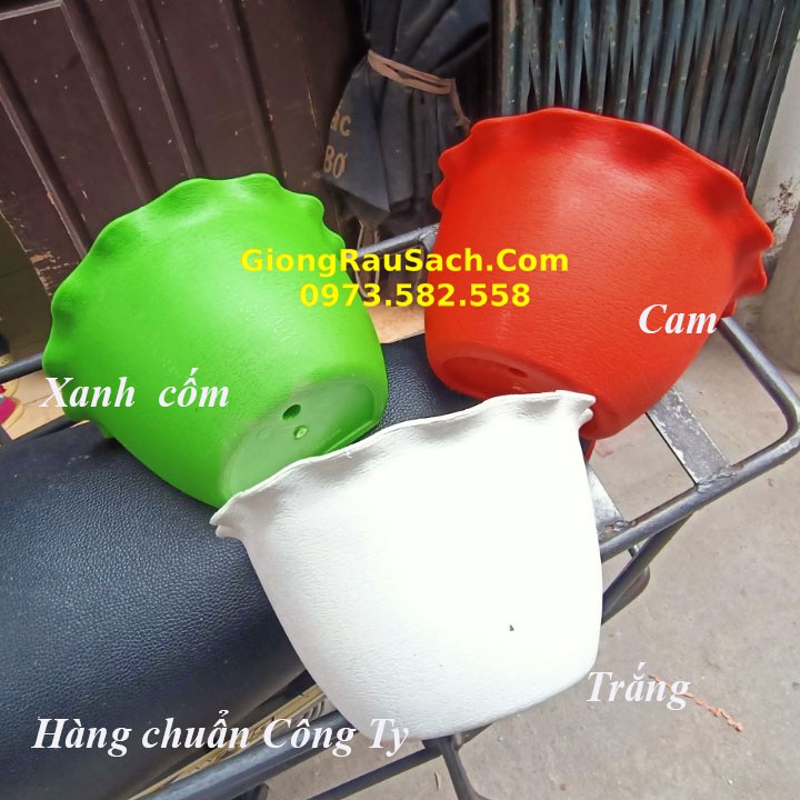 5 Chậu Treo Tường Trồng Cây Trồng Rau Trồng Hoa Ban Công Sân Thượng