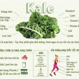 MÌ CẢI KALE ISITO