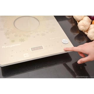Bếp từ Kangaroo KG419i