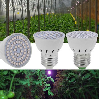 Bóng đèn LED trồng cây E27 12W 72 SMD