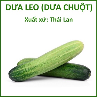 Hạt giống dưa leo lai f1 , xuất xứ thái lan