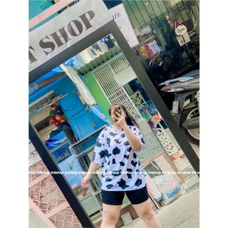 ÁO THUN BÒ SỮA [ TNT Shop Bigsize 60kg - 90kg ] Ảnh thật 100%