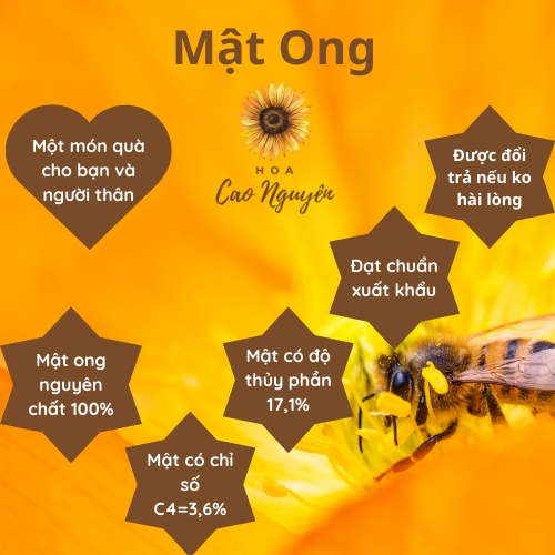 Mật ong nguyên chất hoa cà phê HOA CAO NGUYÊN - Đạt chuẩn xuất khẩu