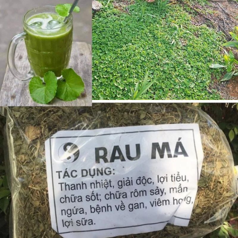 (Giá 200gr-500gr)Rau Má Khô hàng tự nhiên phơi nắng xanh.sạch.đẹp