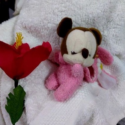 Chuột mickey baby