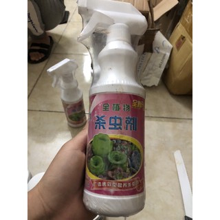 Xịt Rệp bệnh cho sen đá, xương rồng cây mọng nước