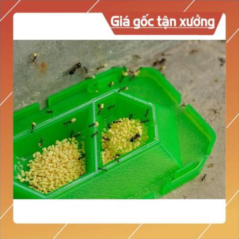 Bộ 2 hộp diệt kiến