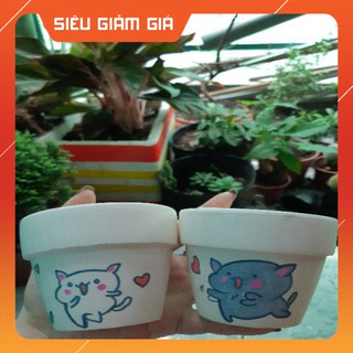 Sen đá TẶNG CHẬU VẼ