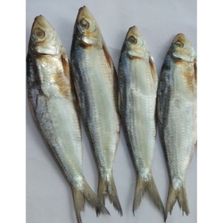 (Phan Thiết) Cá Trích Khô Lạt~ 1kg