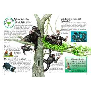 Khám Phá Thế Giới Động Vật