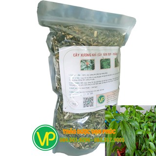 cây mảng cộng - 1kg
