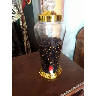 Bình  sâm thuỷ tinh ngâm rượu