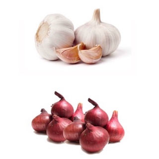 [Tân Phú] 100gr TỎI, HÀNH TÍM khô thơm