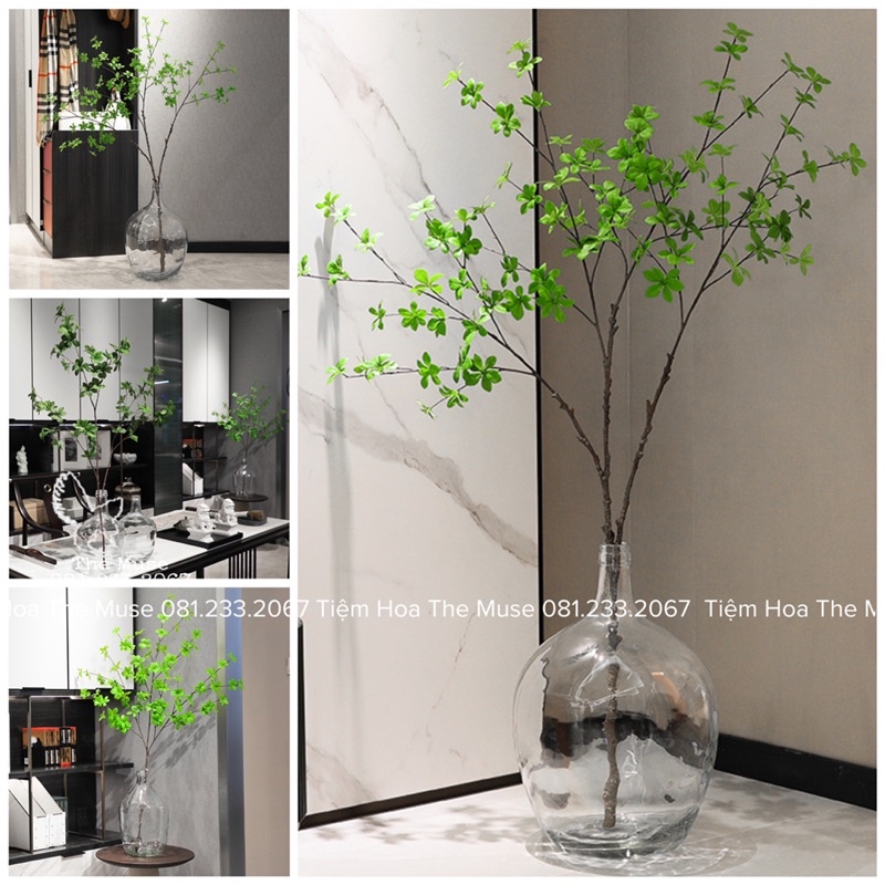 Bình Thuỷ Tinh Decor - Nhất Chi Mai - Phong Cách Wabi Sabi Đơn Giản Mộc Mạc