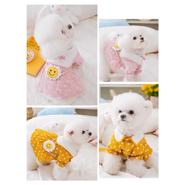 váy đầm tiểu thư chấm bi cho chó mèo