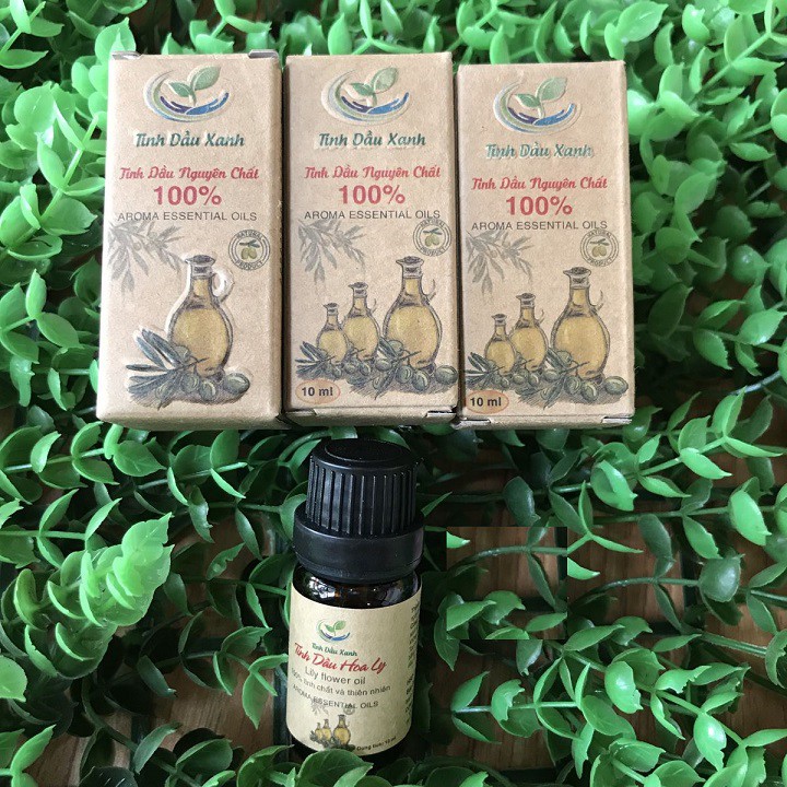 [NHIỀU MÙI] Tinh Dầu Thơm Phòng- Tinh Dầu Xanh Thái Nguyên Dung Tích 10ml