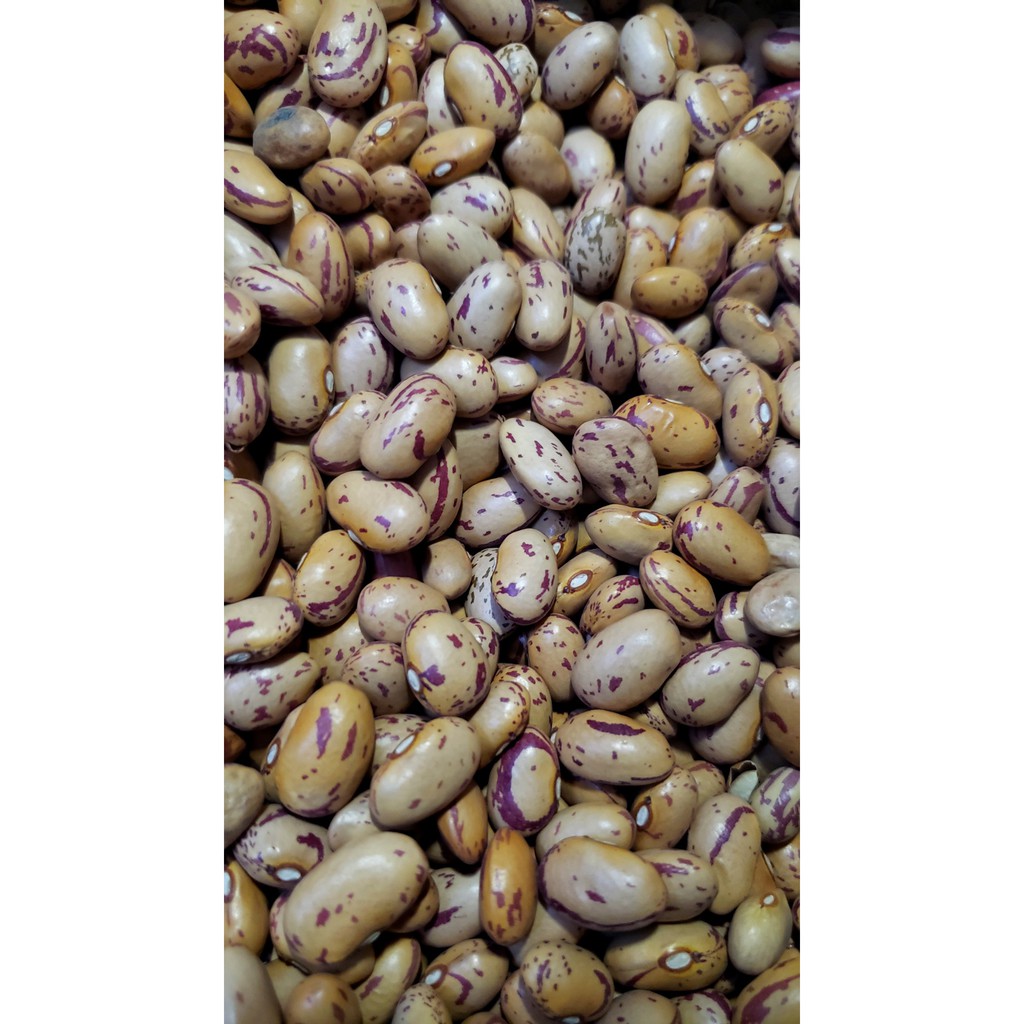 Đậu Cúc Pinto - Argentina, 500g