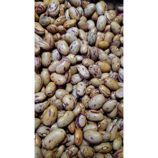 Đậu Cúc Pinto - Argentina, không biến đổi gen, dùng cho ăn kiêng, món chay, gói 500g