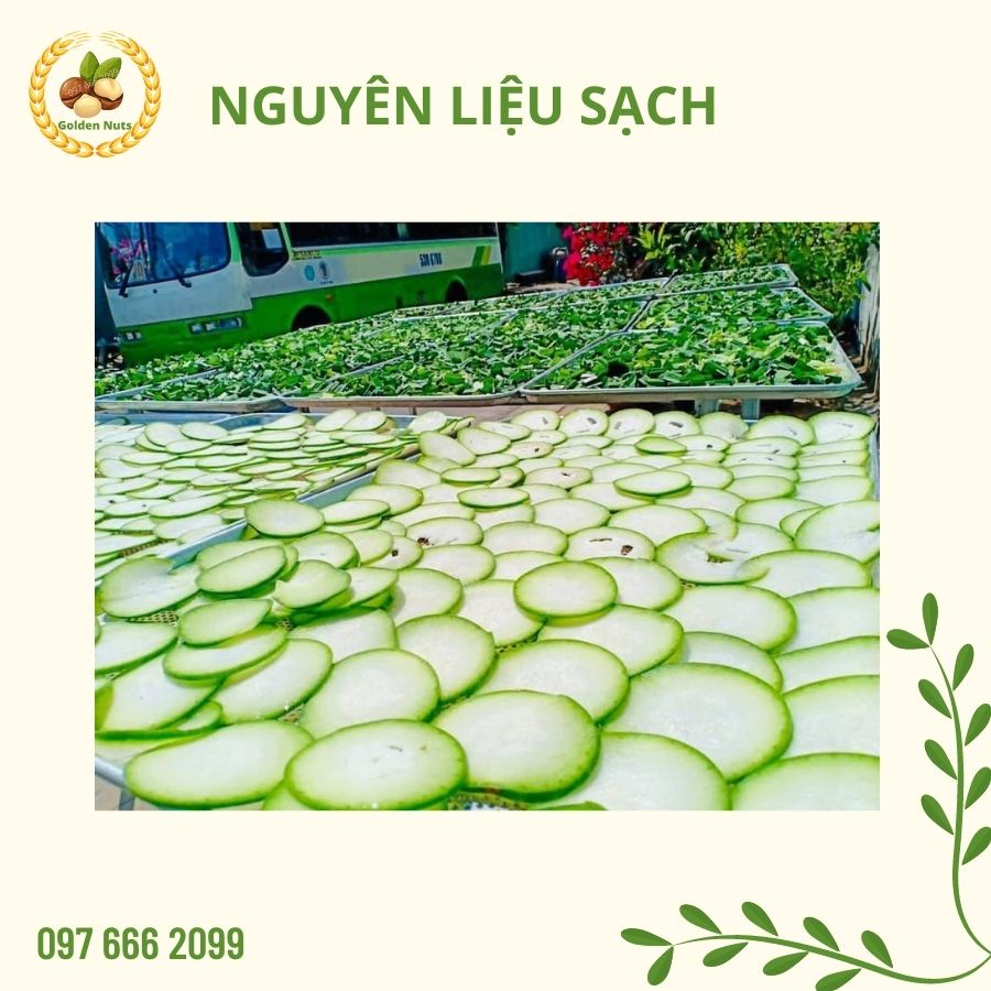 Trà sâm bí đao thanh nhiệt giảm béo, eo thon, giải độc cơ thể, lợi tiểu | BigBuy360 - bigbuy360.vn