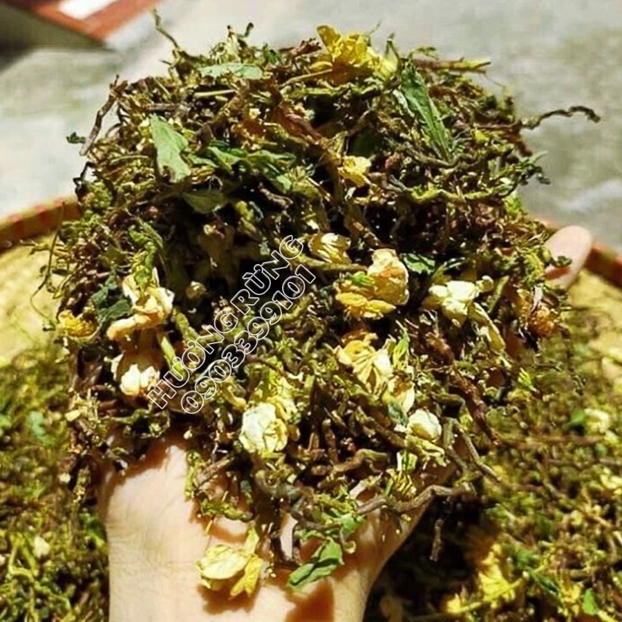 TRÀ SƠN MẬT HỒNG SÂM 500g, loại ngon, nguyên chất - Đặc Sản Hương Rừng