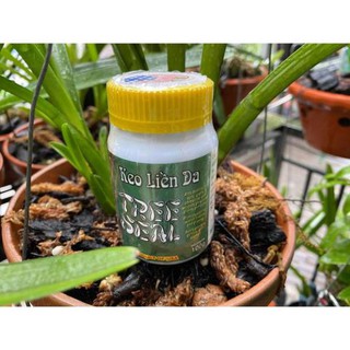 Keo liền sẹo tree seal hàng usa lọ 100gr