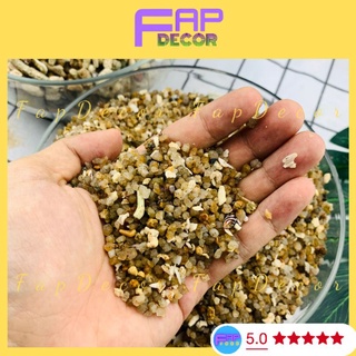 Đất nền thủy sinh, đất sạn biển thiên nhiên lót nền cho bể cá - fapfood