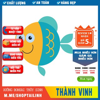 Lũa trang trí bể từ 80 trở lên