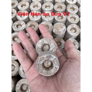 200 viên nén xơ dừa ươm cây v1 loại cao cấp